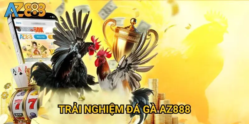 Danh mục sản phẩm đặc sắc đang được AZ888 cung cấp